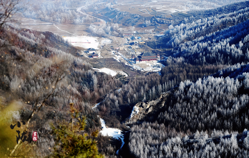 小隴畫報(bào)|甘肅渭源霧?。河駱?shù)瓊花靚山野（82期）
