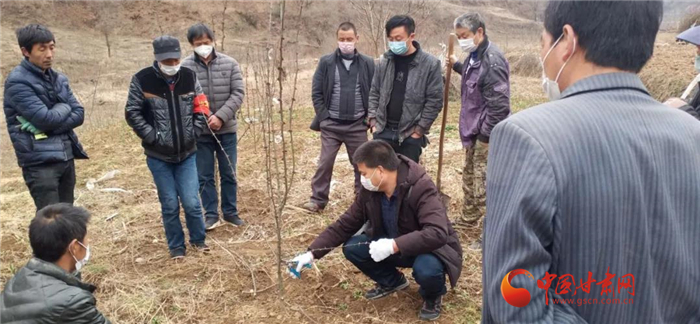 【甘肅全民戰(zhàn)“疫”】隴南徽縣：花椒田里培訓(xùn)忙，戰(zhàn)疫春耕兩不誤