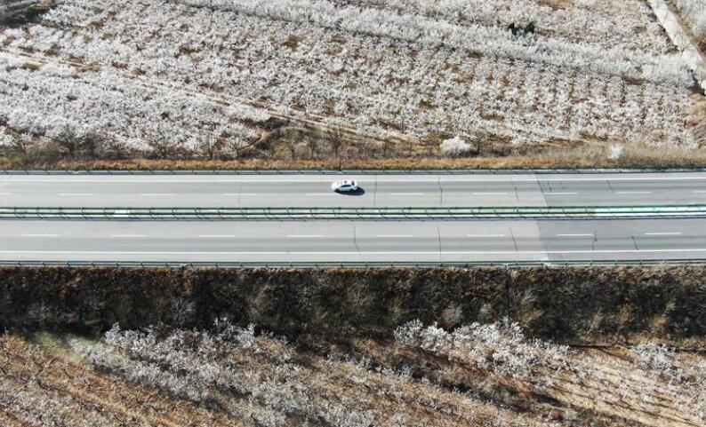 山西：春暖花開 不誤農時