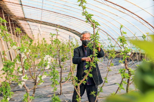 銅城復(fù)蘇：春光明媚，邀你共賞芳華（組圖）