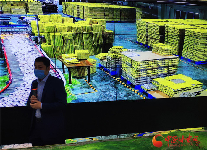 【甘肅省決戰(zhàn)決勝脫貧攻堅】一人養(yǎng)十萬只雞 隴南宕昌金雞產業(yè)帶動1萬貧困人口分紅