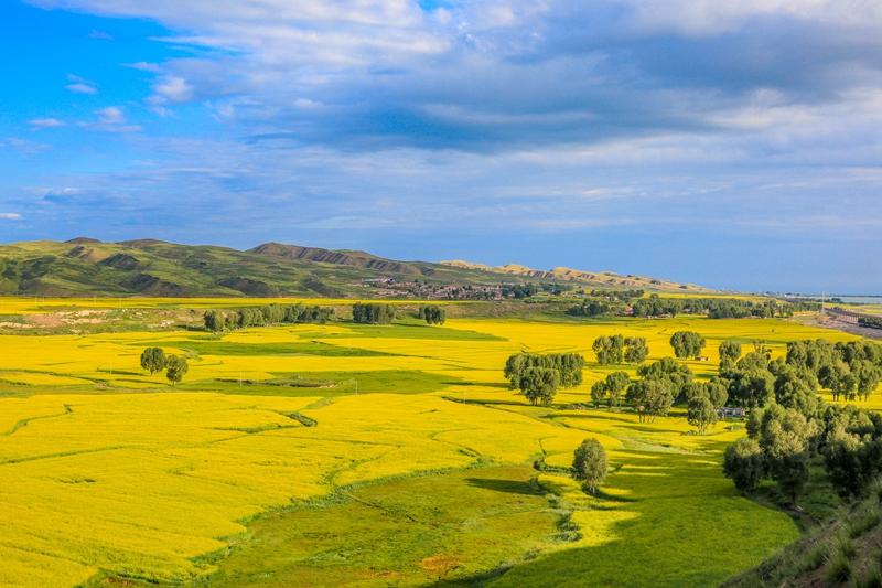 創(chuàng)意海報丨甘肅的美，你來了才知道