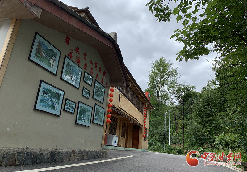 【走向我們的小康生活】村美、業(yè)興、民富……康縣何家莊描繪鄉(xiāng)村振興新畫卷（圖）