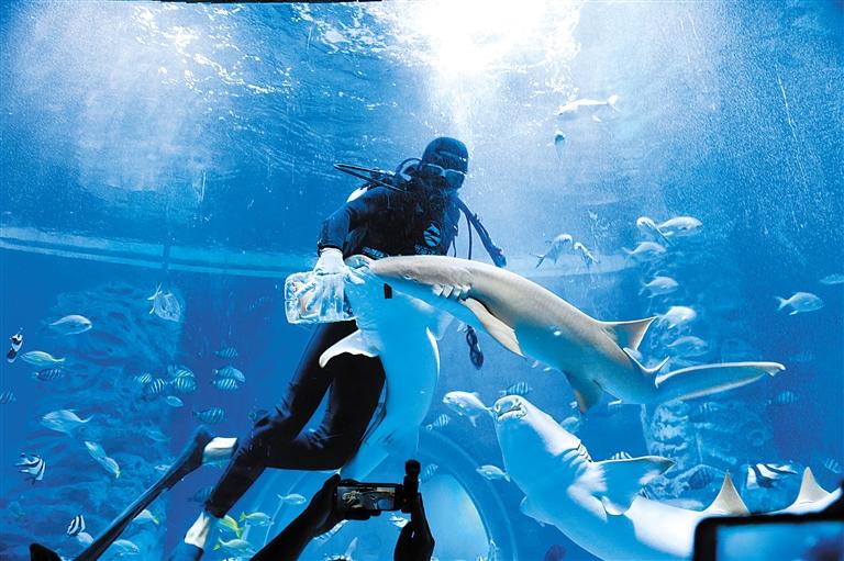 蘭州海洋公園 金昌火星1號基地 這個暑假我們“上天入?！?>
        </a><em>蘭州海洋公園 金昌火星1號基地 這個暑假我們“上天入海”</em></li>
    <li><a  target=