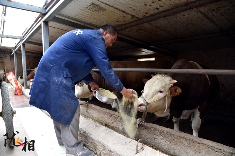 【隴人相】脫貧路上的實(shí)干家——“?！比笋R占清