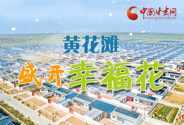 【跟著總書記看甘肅】長(zhǎng)圖|武威黃花灘盛開幸?；?