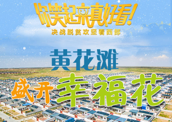 【你笑起來(lái)真好看】黃花灘盛開幸?；ǎ▓D解）