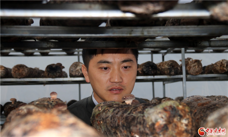 110年！何家溝村終于有了集體經(jīng)濟——中建二局黨建結(jié)對幫扶成效顯著