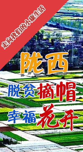 【走向我們的小康生活】長圖|隴西：脫貧摘帽 幸?；ㄩ_