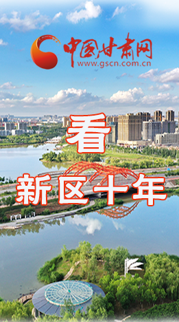 圖解|崛起！新區(qū)十年