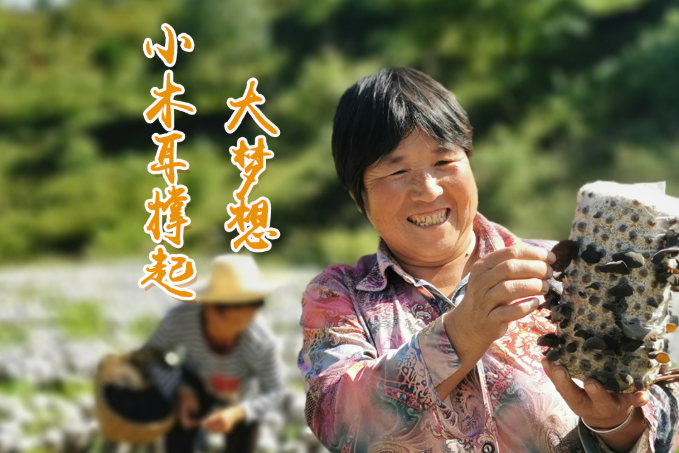 海報丨他們，乘“豐”破浪！