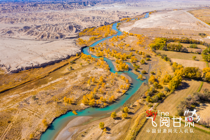 【飛閱甘肅】好美！疏勒河畔大地斑斕