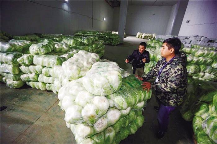 蘭州市已儲備1萬噸冬春蔬菜以耐貯存、易周轉(zhuǎn)品種為主