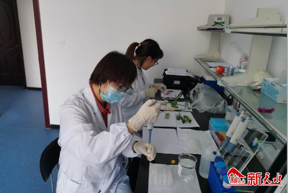 天水市市場(chǎng)監(jiān)管局開(kāi)展“消費(fèi)扶貧”食品專(zhuān)項(xiàng)監(jiān)督抽檢