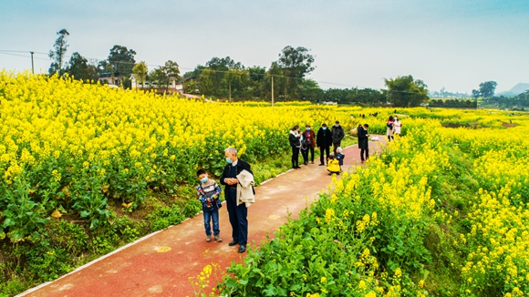 游客在花海里踏青。廖濤 攝