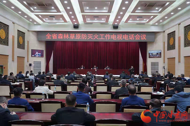 甘肅省森林草原防滅火工作電視電話會(huì)議召開(kāi) 李沛興出席并講話