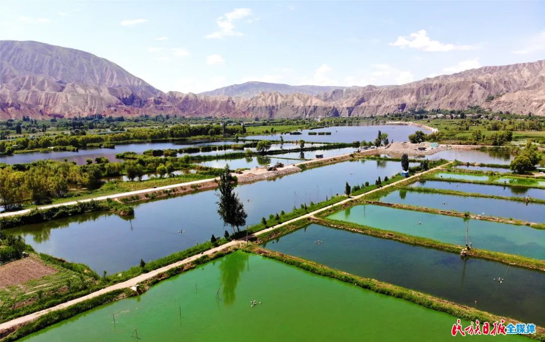 一秒入畫！太極島濕地風光秀麗