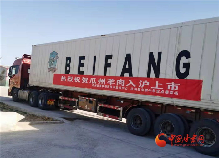 【小康圓夢(mèng)·看甘肅】酒泉市瓜州縣2.9萬(wàn)公斤羊肉遠(yuǎn)銷入滬