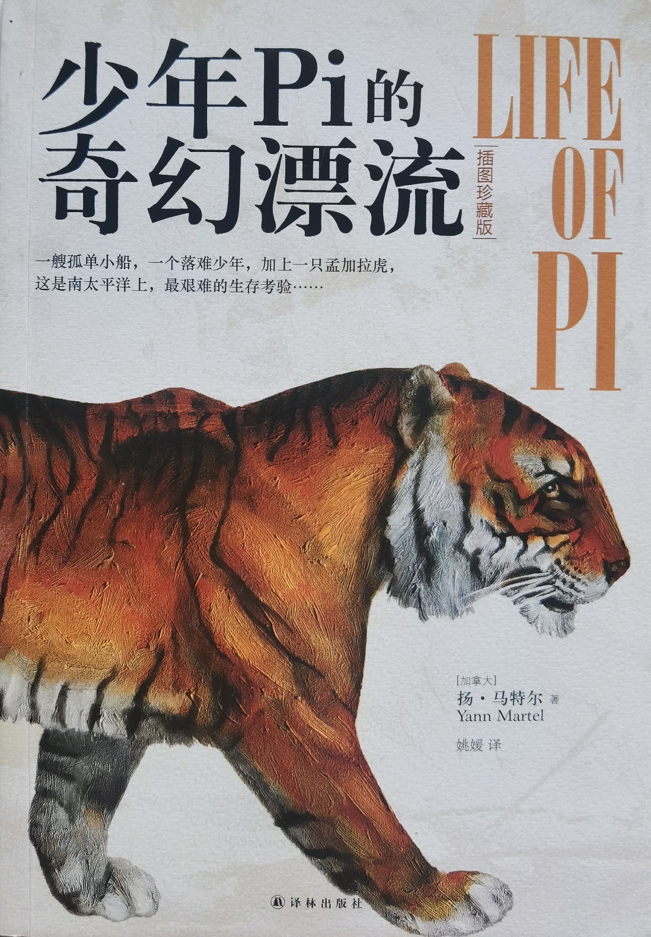 插圖1：揚(yáng)？馬特爾的小說(shuō)《少年pi的奇幻漂流》封面