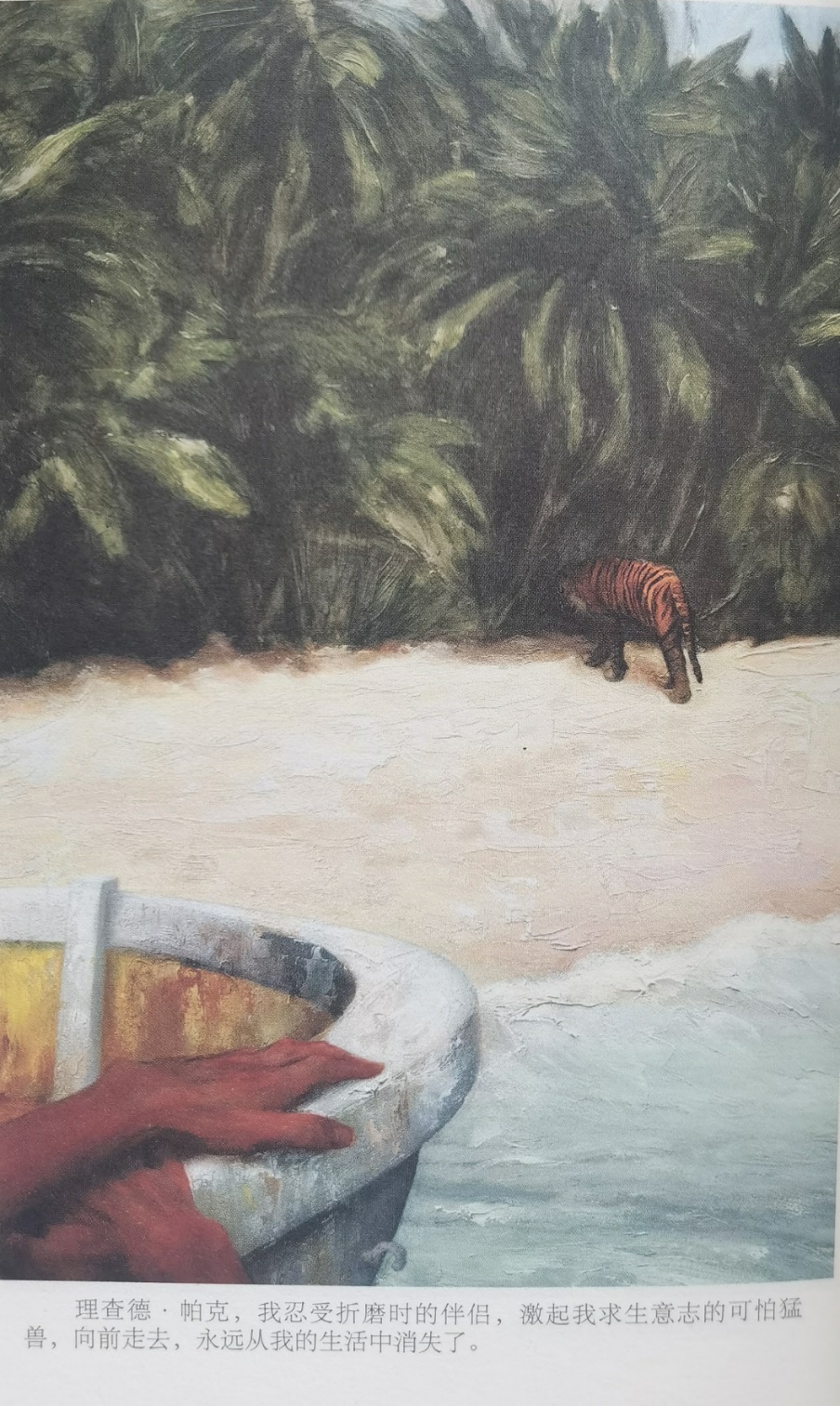 插圖3：揚(yáng)？馬特爾的小說(shuō)《少年pi的奇幻漂流》插圖