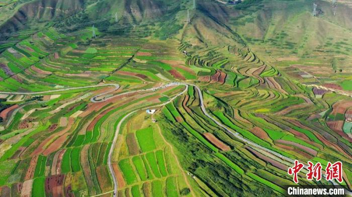 秋日里，榆中縣馬坡鄉(xiāng)千畝梯田，不同農(nóng)作物漸趨成熟，呈現(xiàn)出多種色彩，宛若大地的“調(diào)色盤”?！圆?攝