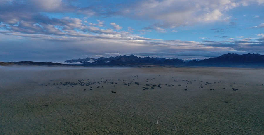 甘肅山丹馬場：峽谷云霧似仙境。 王超攝