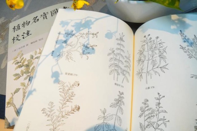 《植物名實圖考校注》內(nèi)頁。圖片來源：中華書局供圖