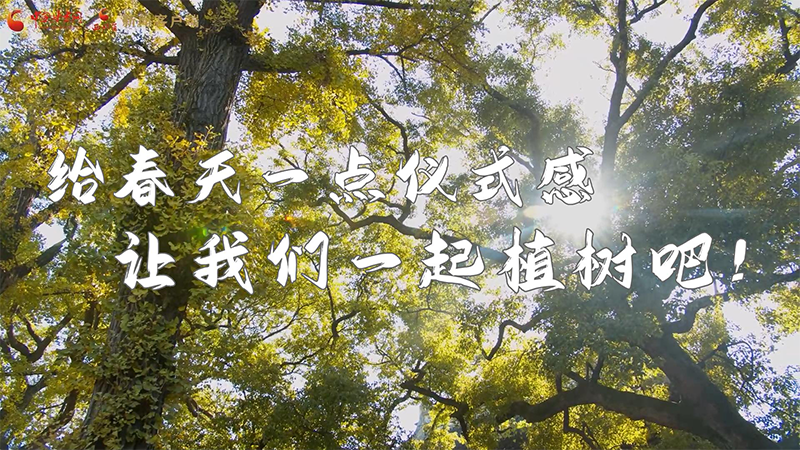 短視頻|給春天一點儀式感，讓我們一起植樹吧！