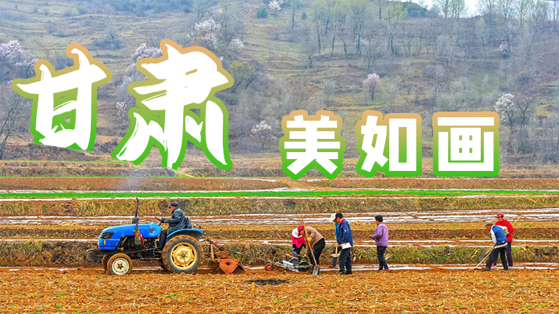 微海報|甘肅，美如畫