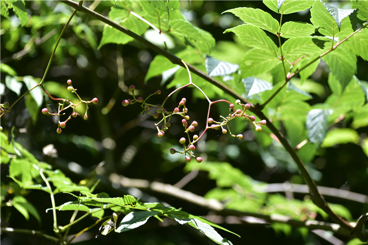 1714274629229169.jpg 6-2.jpg