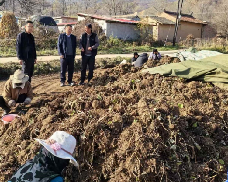 1731381649506343.jpg 1731381584471604.jpg