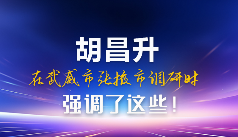 圖解|胡昌升在武威市張掖市調(diào)研時強(qiáng)調(diào)這些！