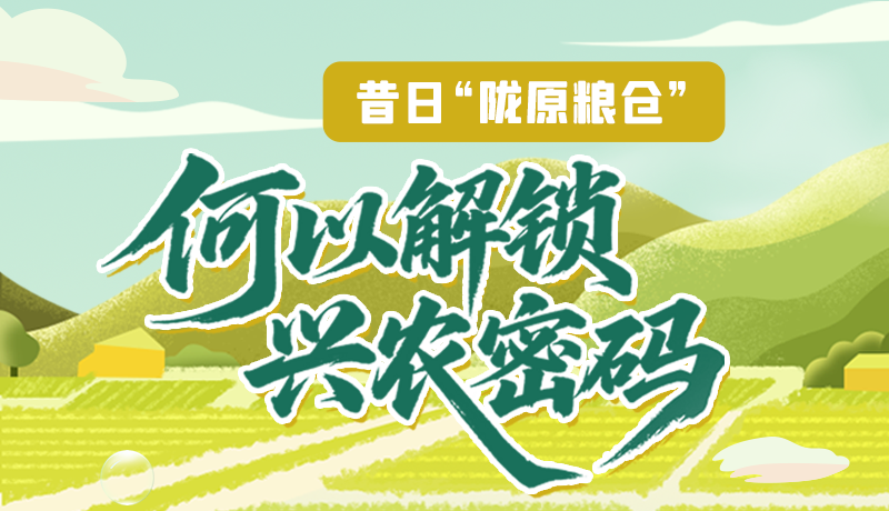 【理響中國(guó)·話隴點(diǎn)睛（3）】昔日“隴原糧倉”，何以解鎖“興農(nóng)密碼”