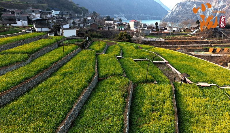 【小隴畫報·473期】春到文縣早 花開碧水間